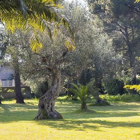 Locazione Turistica Romantic Studio Tuglie